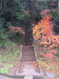 秋葉神社の石段