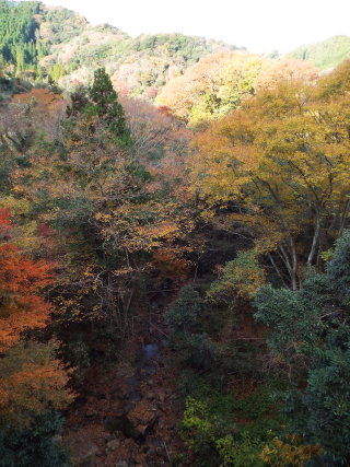 志駒川の紅葉