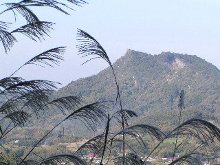 登山道の右側に見える伊予ヶ岳