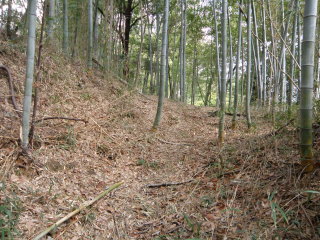竹藪の中の踏み跡