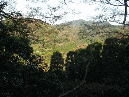 右（北西）の樹間に鋸山