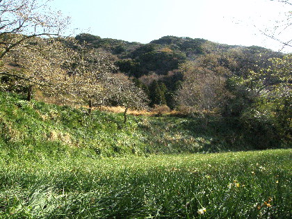 左（東）に嵯峨山