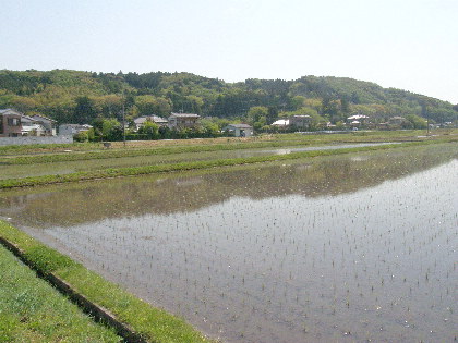 左後方（東）に上新田浅間山