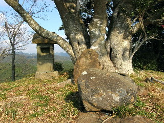 古木の側の石祠