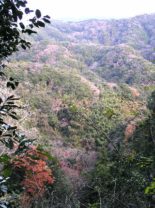紅葉の山と谷