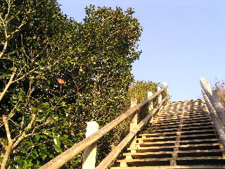 生誕の地公園へ登る階段