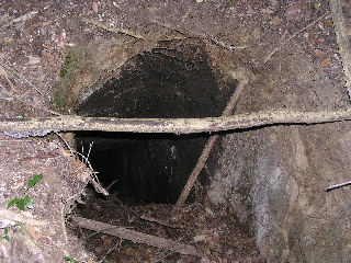 深い穴、もしかして防空壕？