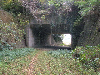 廃道のトンネル