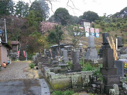 最上寺の裏山