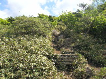 丸山への登り道