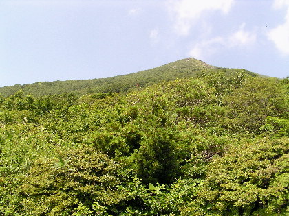 灌木地帯から見た磐梯山
