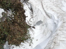 雪渓の割れ目