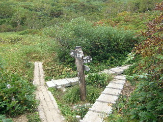 茶臼山、黒沢池ヒュッテ方面の分岐
