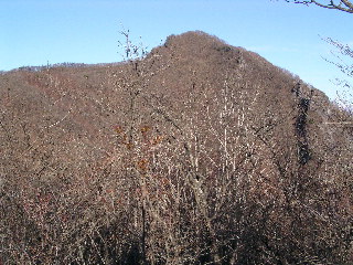 一つ目のピークから柳木ヶ峰を見る