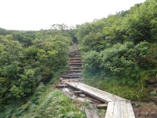 木道と階段径