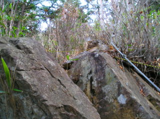 岩の間の急登