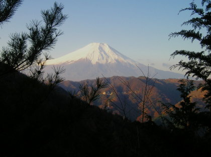 後ろ（南西）の樹間に富士山