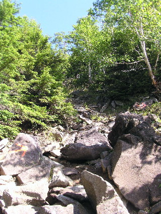 岩だらけの登山道