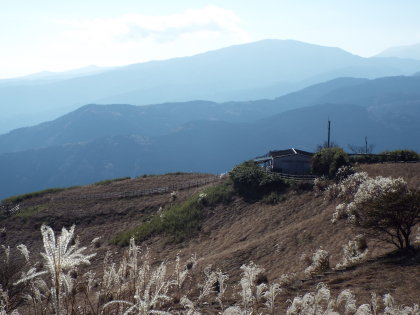 大野山から見た明神ヶ岳
