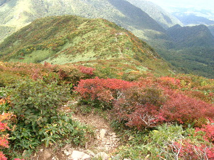 全山紅葉の稜線