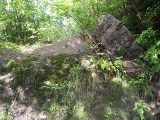 岩の多い急登