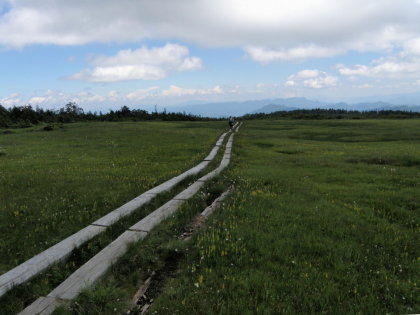 田代山山頂の高層湿原
