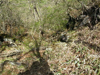 北側の断崖絶壁