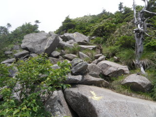 山頂前の大岩群