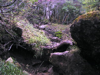 岩のある山道