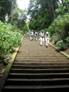 太平山神社へ向かう石段