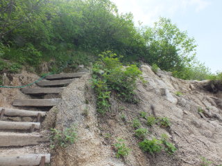 急登の階段径