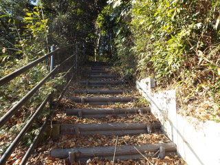 階段径
