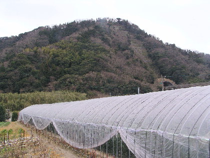 保田浅間山と館山道のトンネル