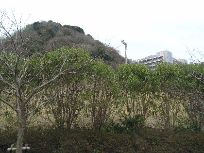 保田浅間山と自然の家