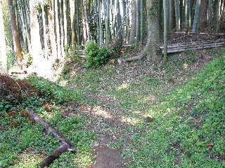 竹林前の小径