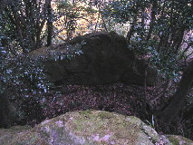 岩壁の上の岩