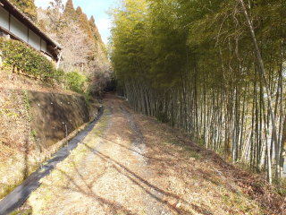 昭和院東側の林道
