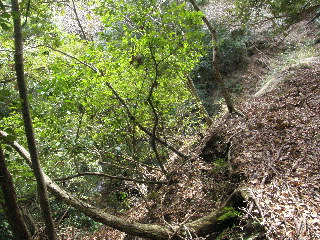 峠の先の左側が断崖絶壁