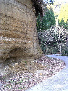 砂岩の地層