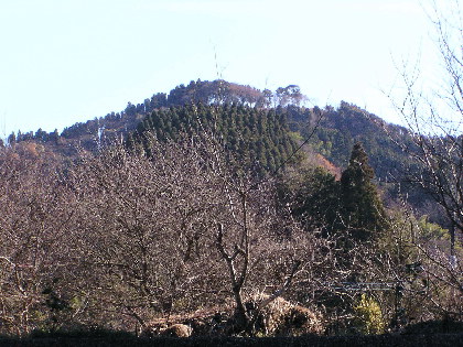 三条大塚山