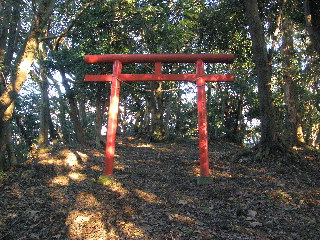 浅間神社の赤い鳥居