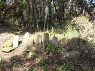 墓石群