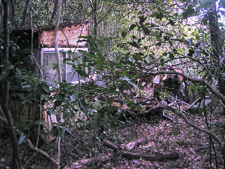 朽ち果てたプレハブの小屋と小型トラックの残骸