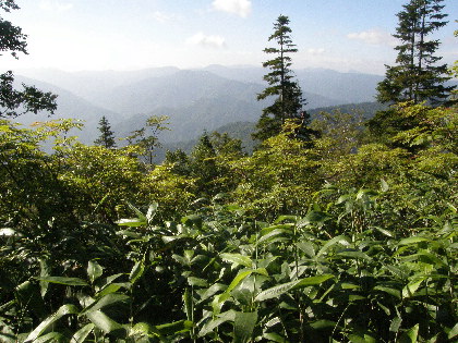 左（南東）側に田代山、帝釈山、台倉高山