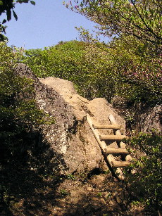 岩場の梯子