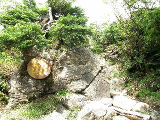 五葉松と岩の登山道