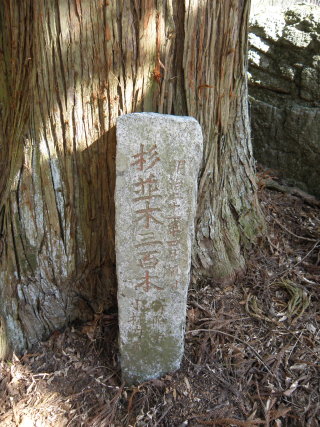 杉並木寄贈の石柱