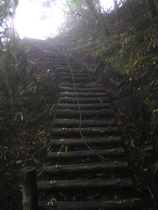 丸太作りの階段