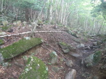 落石注意の看板と岩が転がる山径