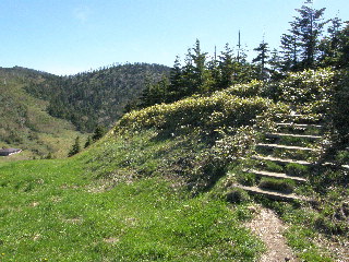 右（西）側に登山道